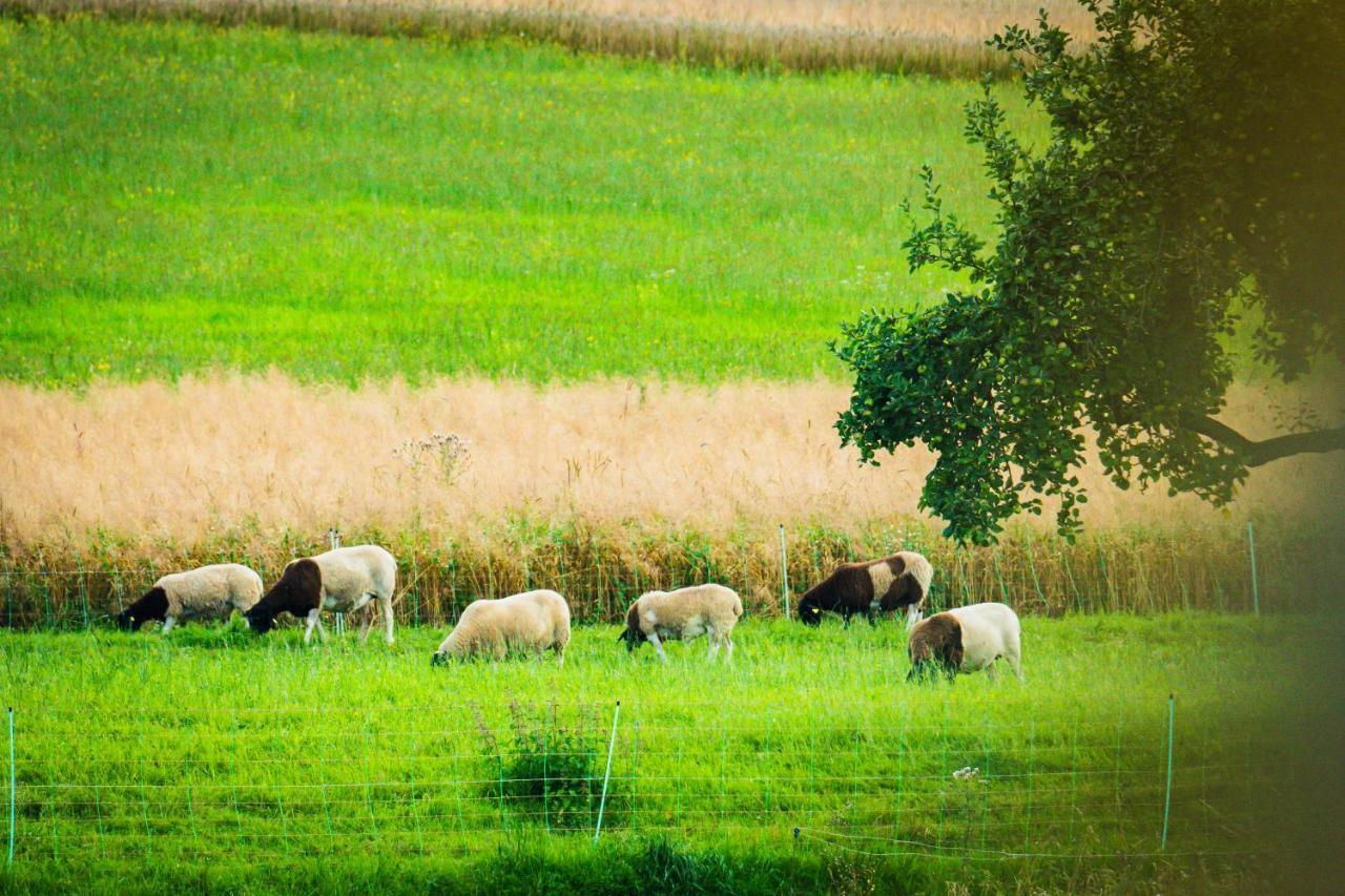 Familienhotel "Rhoen Feeling" Bernshausen Buitenkant foto